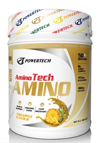 PowerTech AminoTech Amino Asit 500 Gr