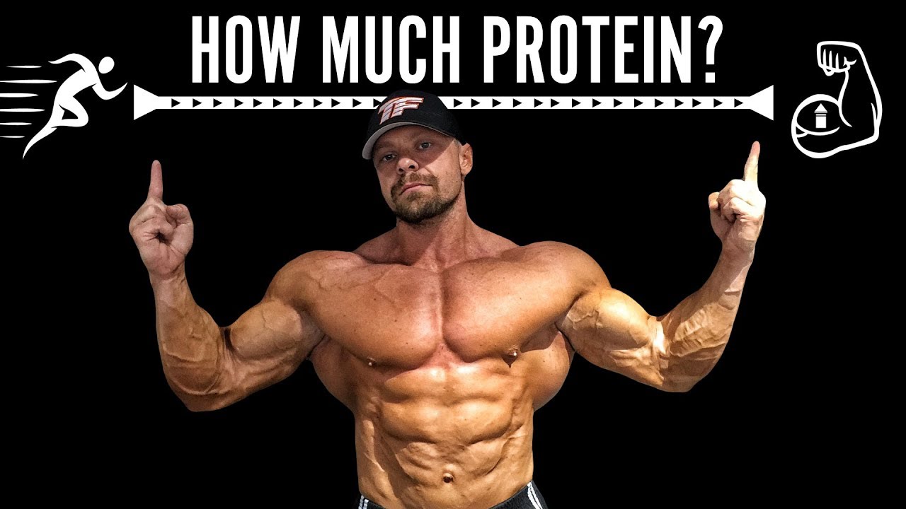Sporcuların günlük protein ihtiyacı ne kadar